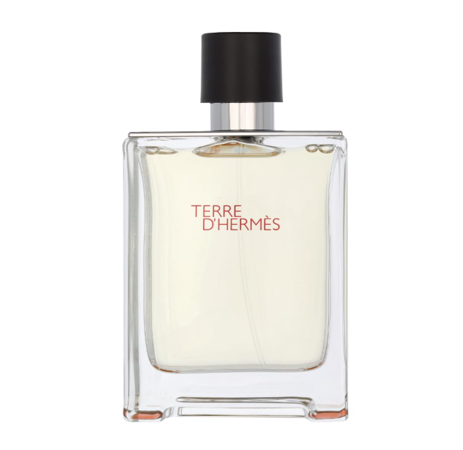 Terre d'Hermès Eau de Toilette 100ml
