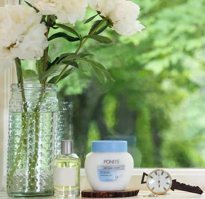 Pond's Dry Skin Cream 110g