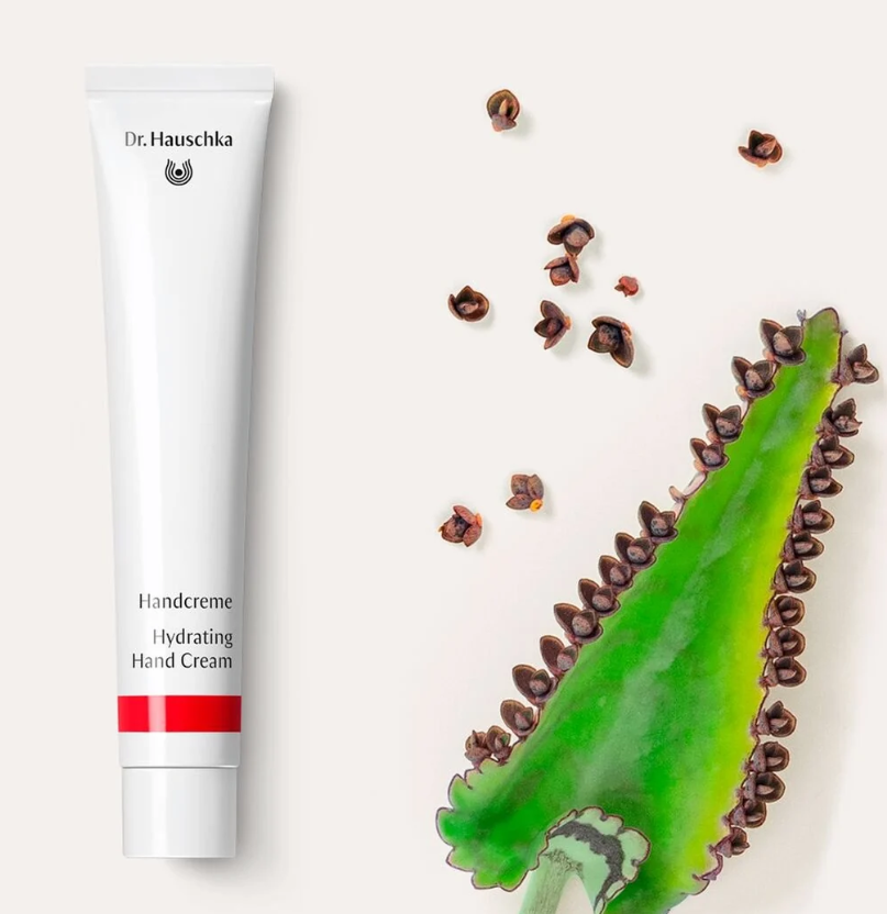 Dr. Hauschka Hand Cream 50ml