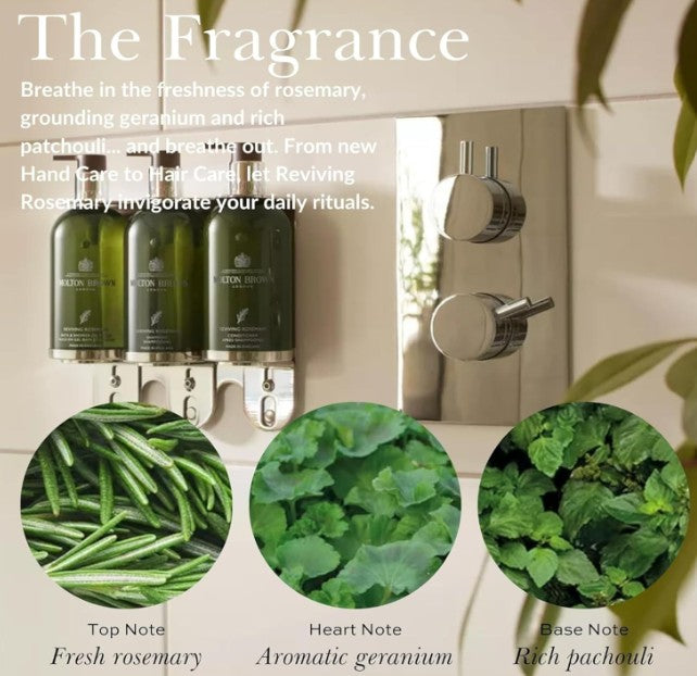Molton Brown Reviving Rosemary Conditioner 300ml