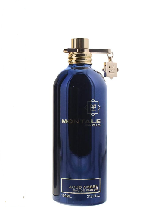 Montale Paris Aoud Ambre Eau de Parfum 100ml