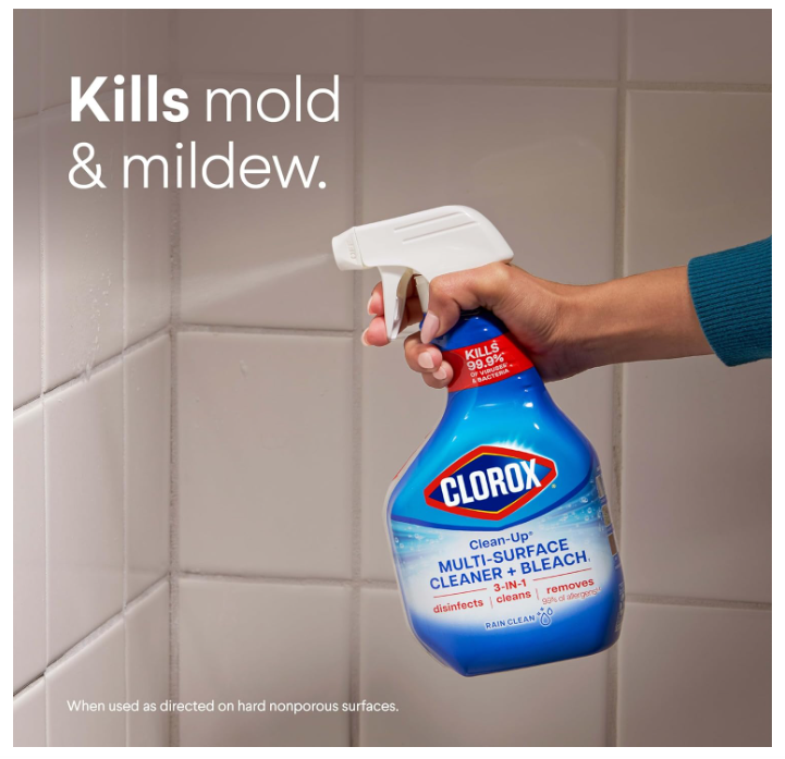 Clorox Clean-Up Multi-Surface Cleaner with Bleach Rain Clean 32 fl oz