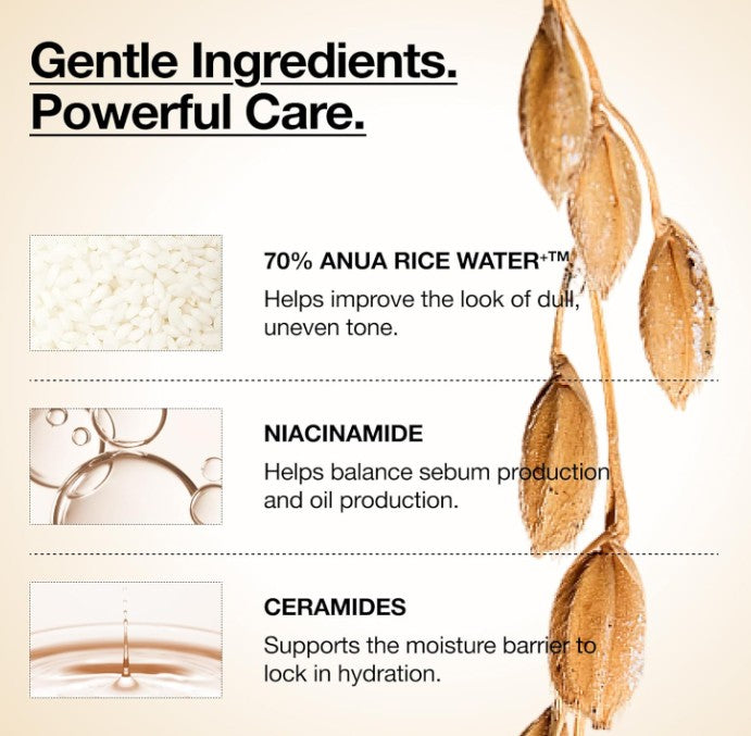 Anua Rice 70 Glow Milky Toner 250ml