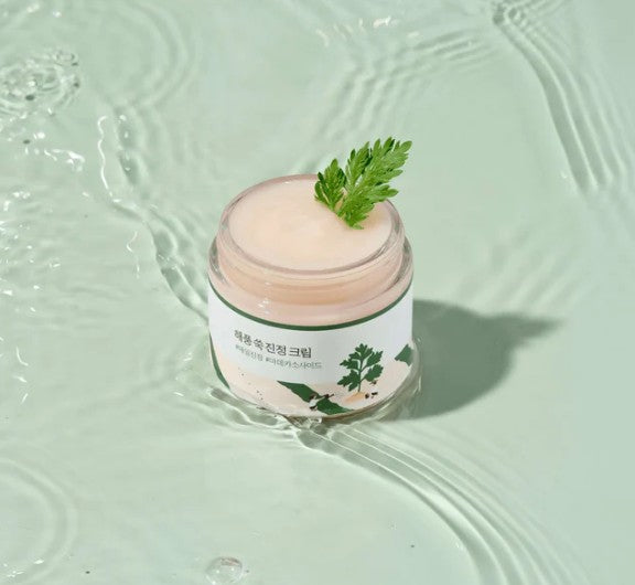 Round Lab Mugwort Calming Cream 80ml