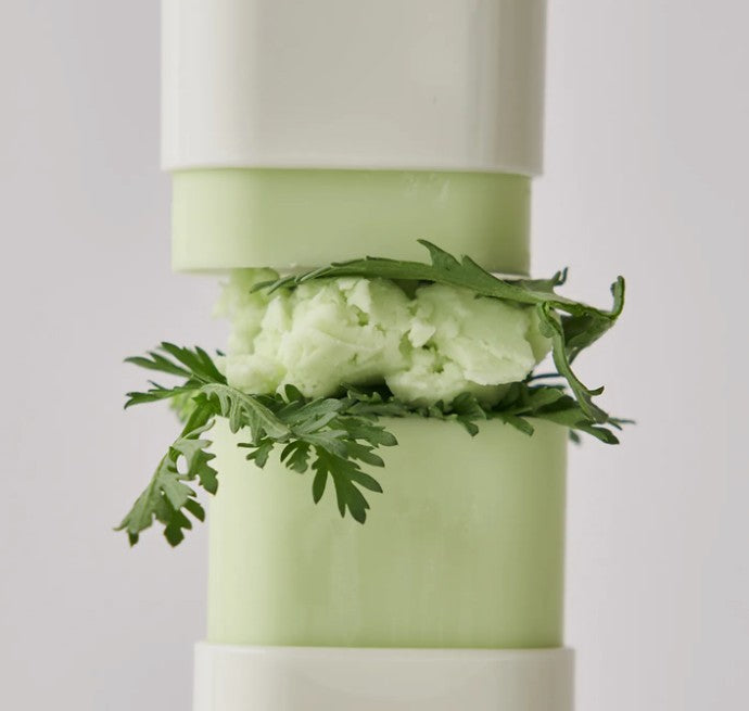 Beauty of Joseon Matte Sun Stick: Mugwort + Camellia SPF50+ PA++++ 18g